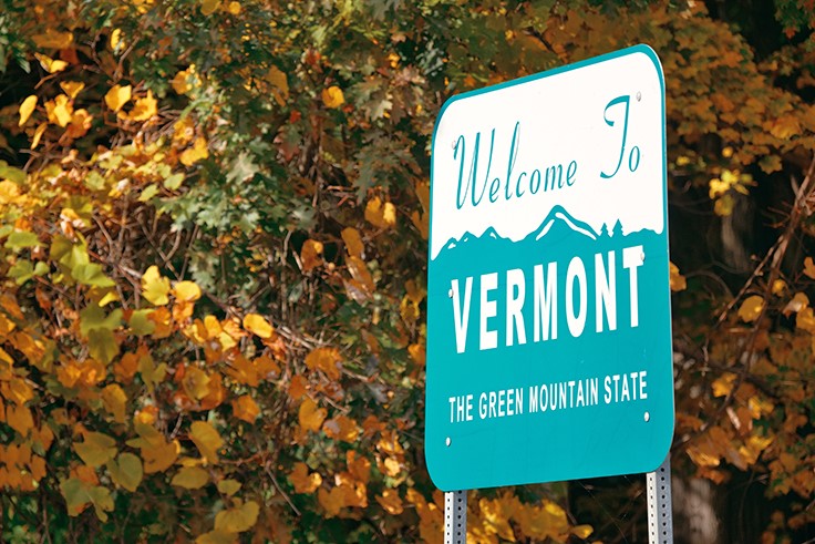 Cannabis Could Be Cash Crop for Vermont Colleges